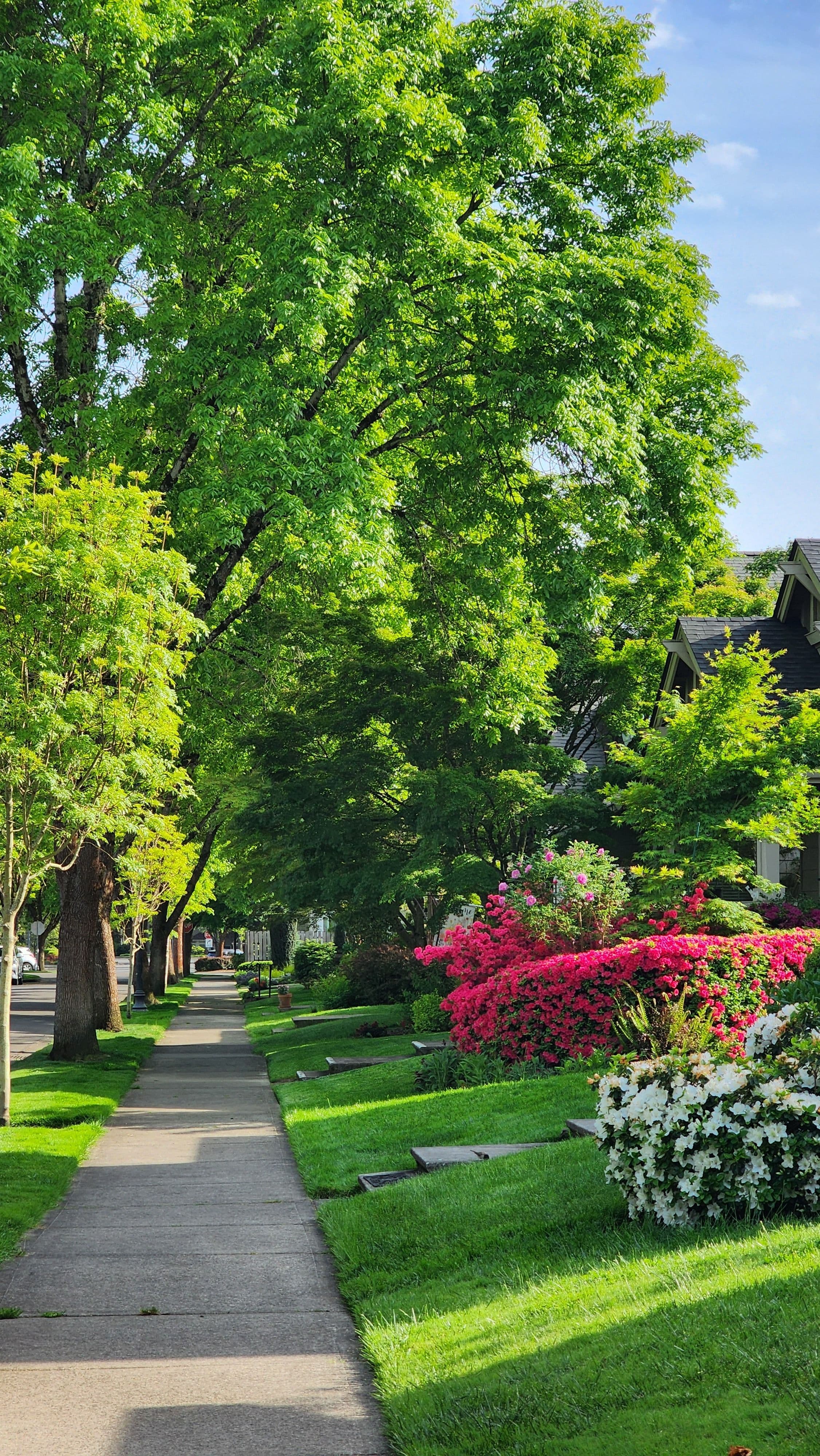 Cambridge properties served by Neighbours Envy