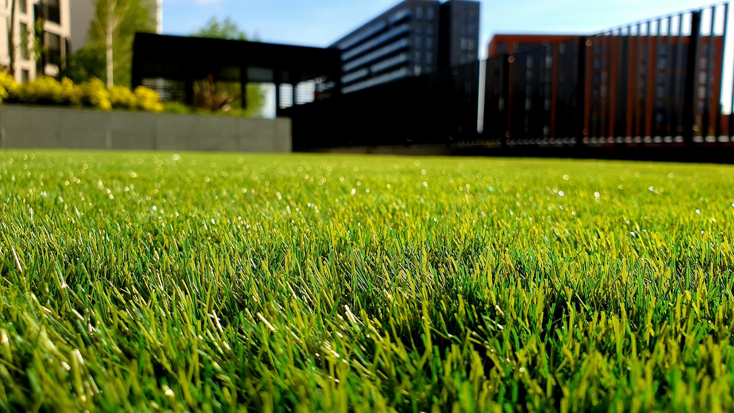 Lawn Care & Maintenance