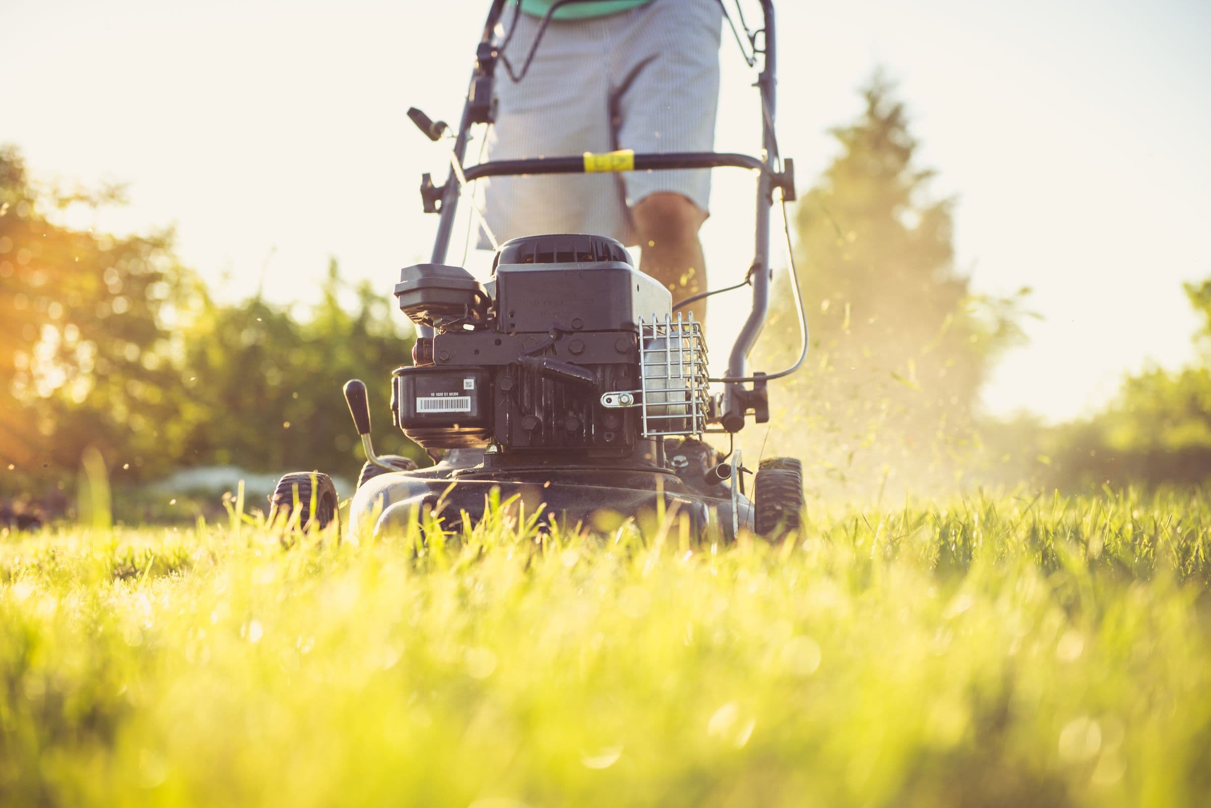 Lawn Care & Maintenance